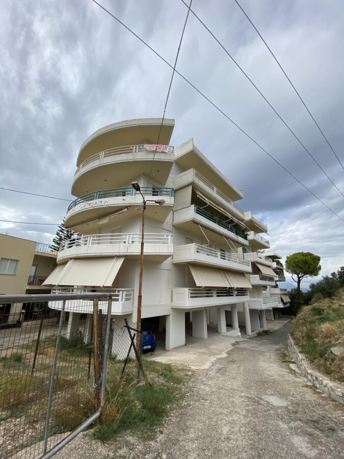 εικόνα_Viber_2024-10-05_12-54-44-466