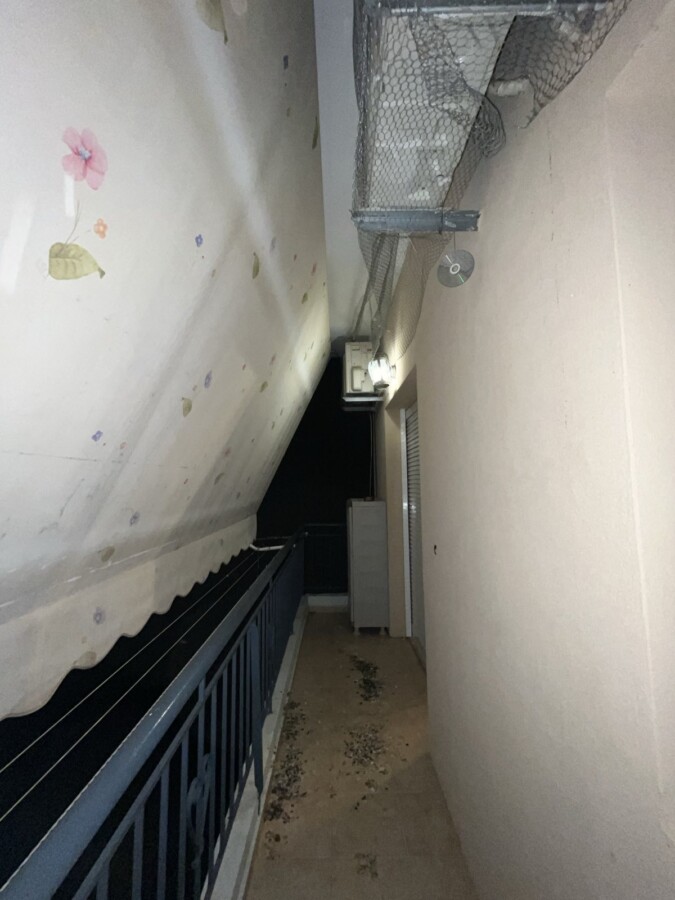 εικόνα_Viber_2025-12-11_18-30-38-632