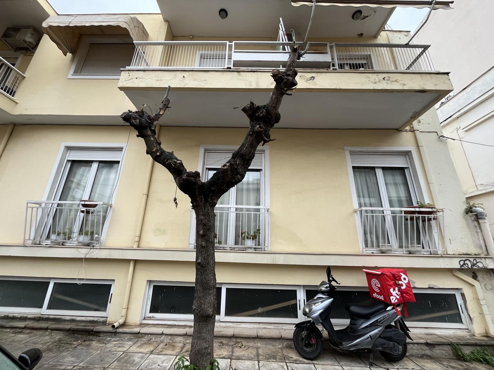 εικόνα_Viber_2026-01-03_14-25-55-430