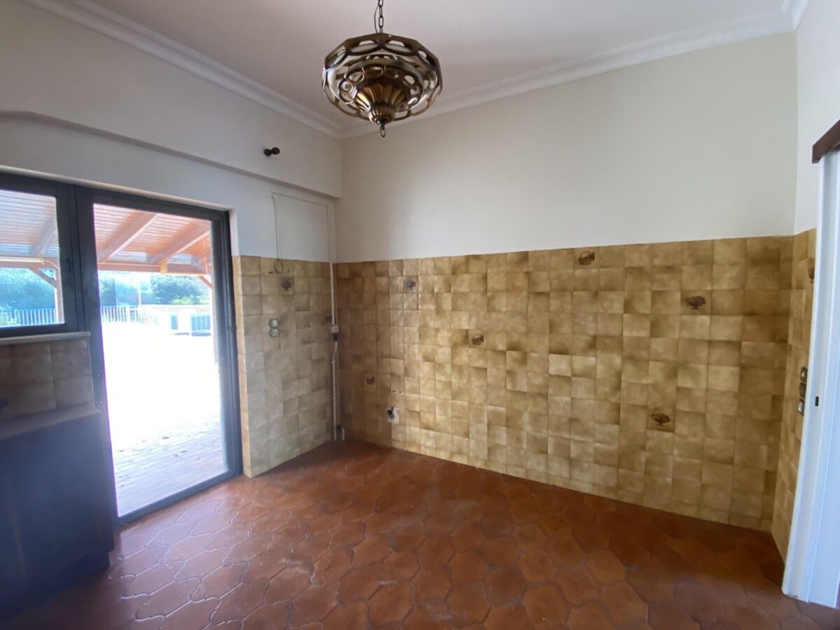 εικόνα_Viber_2026-02-14_10-49-04-854