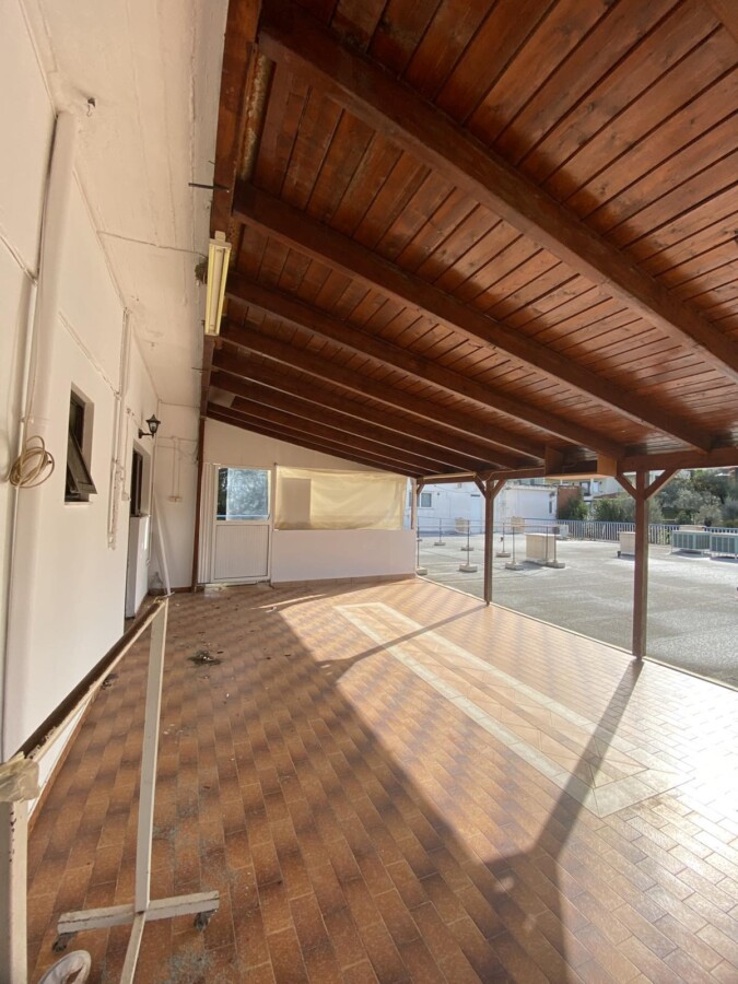 εικόνα_Viber_2026-02-14_10-50-12-710