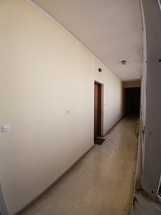 εικόνα_Viber_2026-09-01_12-13-10-541